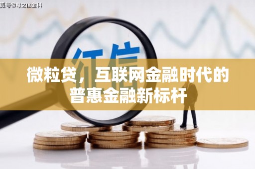 田尾微粒贷，互联网金融时代的普惠金融新标杆