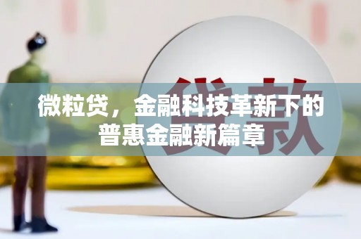 田尾微粒贷，金融科技革新下的普惠金融新篇章