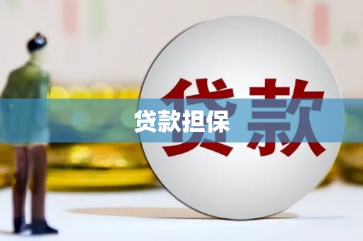 田尾贷款担保