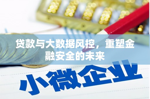 田尾贷款与大数据风控，重塑金融安全的未来