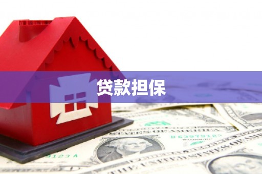 田尾贷款担保