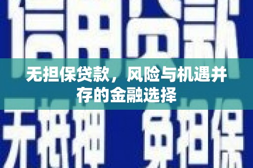 田尾无担保贷款，风险与机遇并存的金融选择