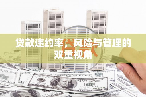 田尾贷款违约率，风险与管理的双重视角