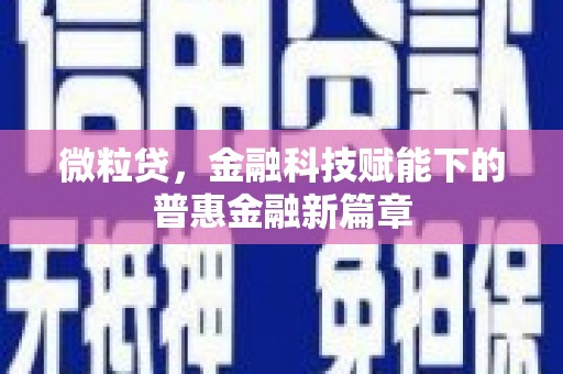 田尾微粒贷，金融科技赋能下的普惠金融新篇章