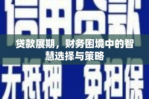 田尾贷款展期，财务困境中的智慧选择与策略