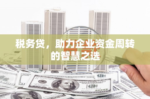 田尾税务贷，助力企业资金周转的智慧之选