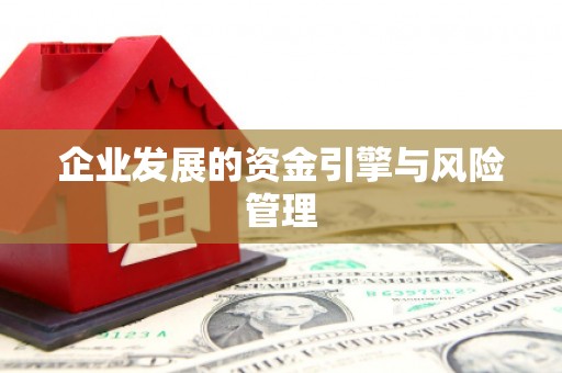 田尾企业发展的资金引擎与风险管理