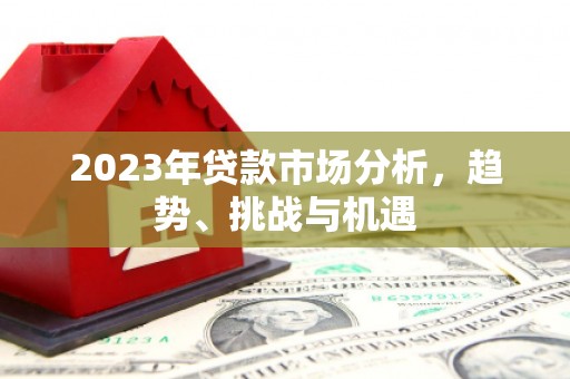 田尾2023年贷款市场分析，趋势、挑战与机遇