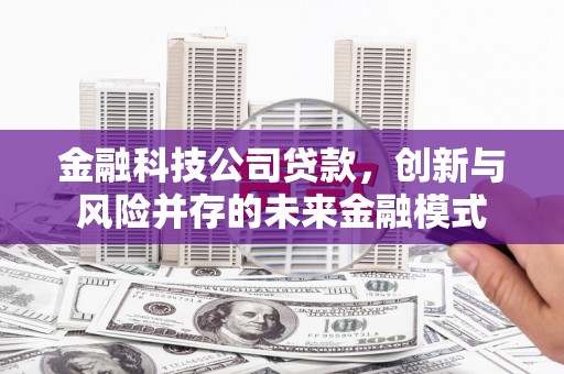 田尾金融科技公司贷款，创新与风险并存的未来金融模式