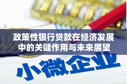 田尾政策性银行贷款在经济发展中的关键作用与未来展望