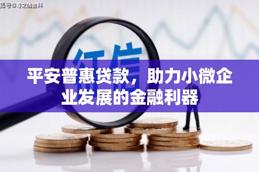 田尾平安普惠贷款，助力小微企业发展的金融利器