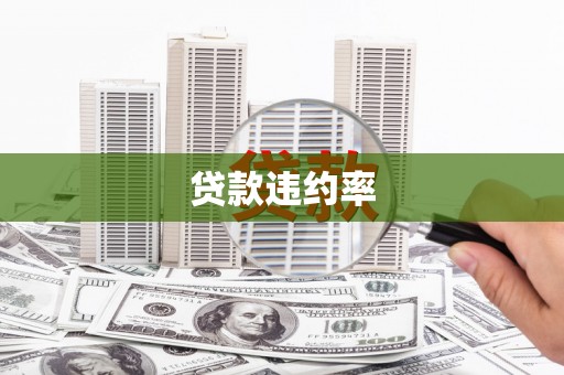 田尾贷款违约率