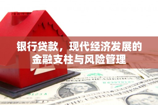 田尾银行贷款，现代经济发展的金融支柱与风险管理