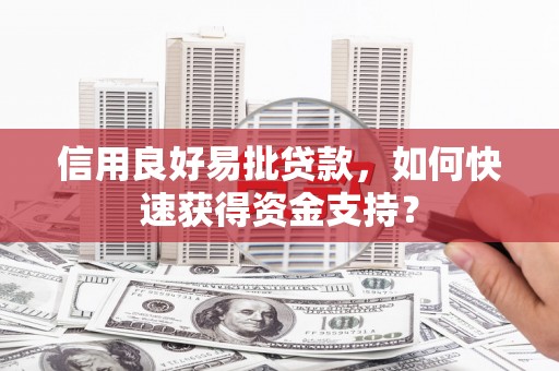 田尾信用良好易批贷款，如何快速获得资金支持？