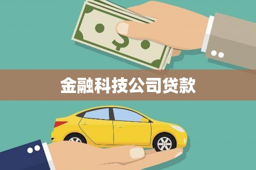 田尾金融科技公司贷款