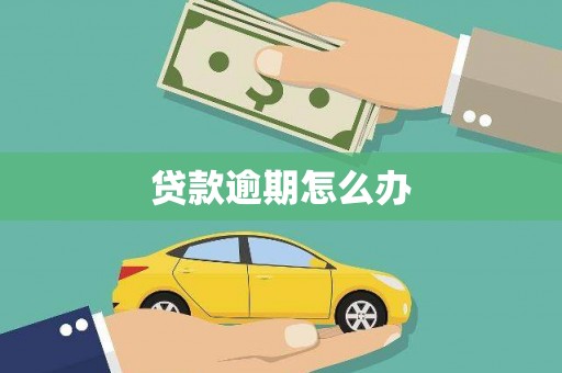 田尾贷款逾期怎么办
