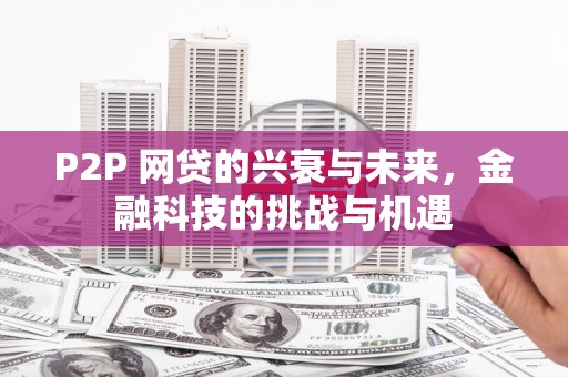 田尾P2P 网贷的兴衰与未来，金融科技的挑战与机遇