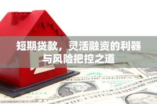 田尾短期贷款，灵活融资的利器与风险把控之道