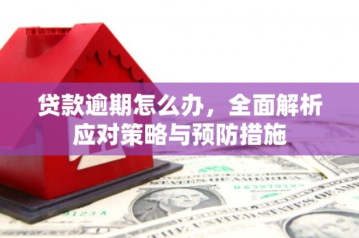 田尾贷款逾期怎么办，全面解析应对策略与预防措施