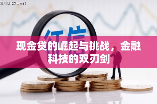 田尾现金贷的崛起与挑战，金融科技的双刃剑