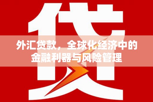 田尾外汇贷款，全球化经济中的金融利器与风险管理