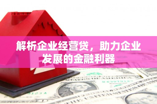 田尾解析企业经营贷，助力企业发展的金融利器