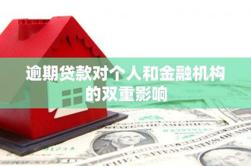 田尾逾期贷款对个人和金融机构的双重影响
