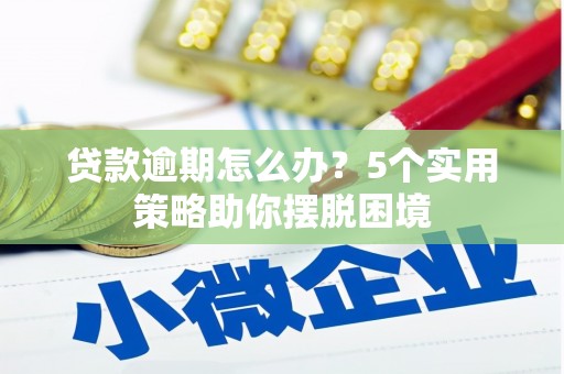 田尾贷款逾期怎么办？5个实用策略助你摆脱困境