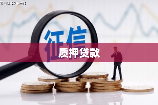 田尾质押贷款