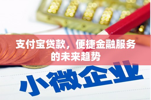 田尾支付宝贷款，便捷金融服务的未来趋势