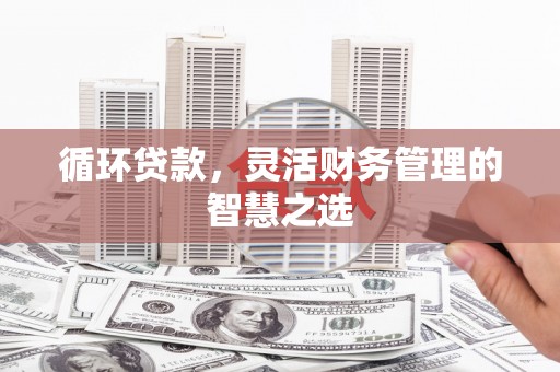 田尾循环贷款，灵活财务管理的智慧之选