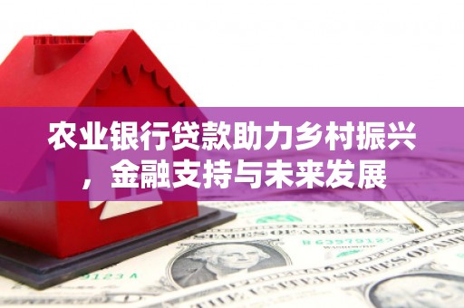 田尾农业银行贷款助力乡村振兴，金融支持与未来发展