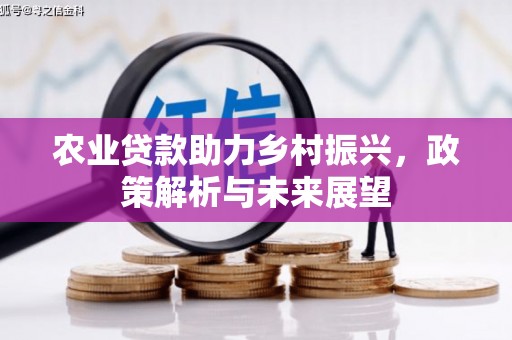 田尾农业贷款助力乡村振兴，政策解析与未来展望