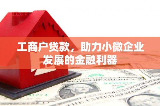 田尾工商户贷款，助力小微企业发展的金融利器