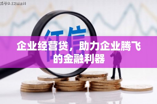 田尾企业经营贷，助力企业腾飞的金融利器