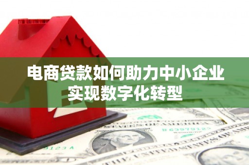 田尾电商贷款如何助力中小企业实现数字化转型