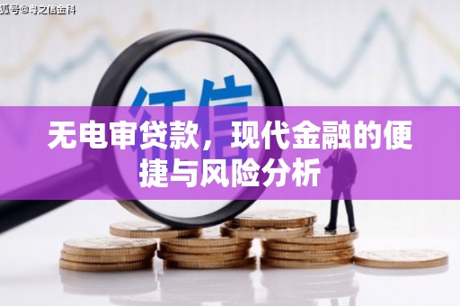 田尾无电审贷款，现代金融的便捷与风险分析