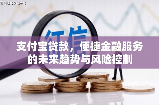 田尾支付宝贷款，便捷金融服务的未来趋势与风险控制