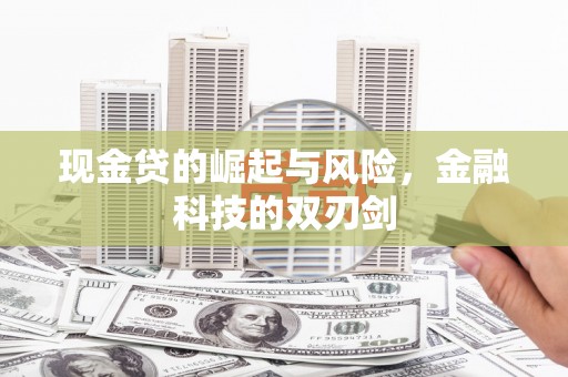 田尾现金贷的崛起与风险，金融科技的双刃剑