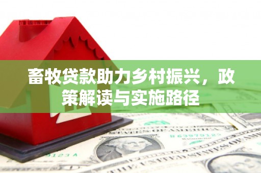 田尾畜牧贷款助力乡村振兴，政策解读与实施路径