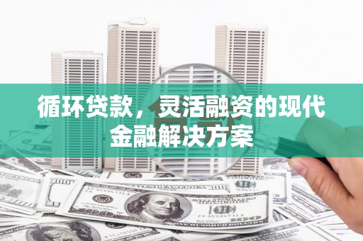 田尾循环贷款，灵活融资的现代金融解决方案