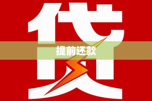 田尾提前还款