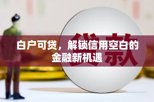 田尾白户可贷，解锁信用空白的金融新机遇