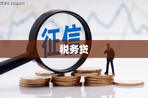 田尾税务贷