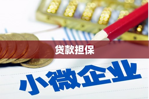 田尾贷款担保