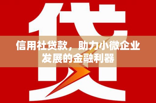 田尾信用社贷款，助力小微企业发展的金融利器