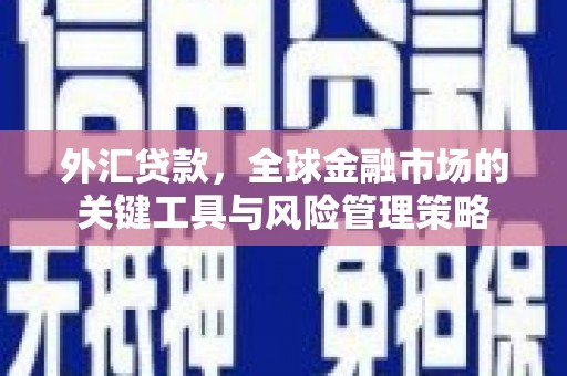 田尾外汇贷款，全球金融市场的关键工具与风险管理策略
