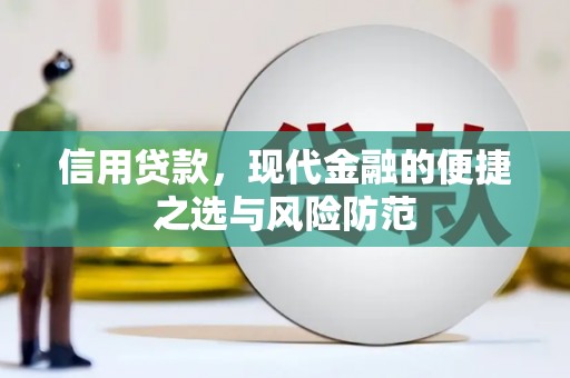 田尾信用贷款，现代金融的便捷之选与风险防范