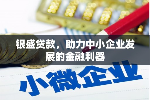 田尾银盛贷款，助力中小企业发展的金融利器