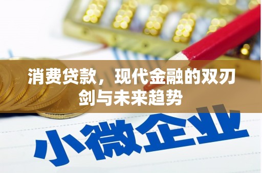 田尾消费贷款，现代金融的双刃剑与未来趋势